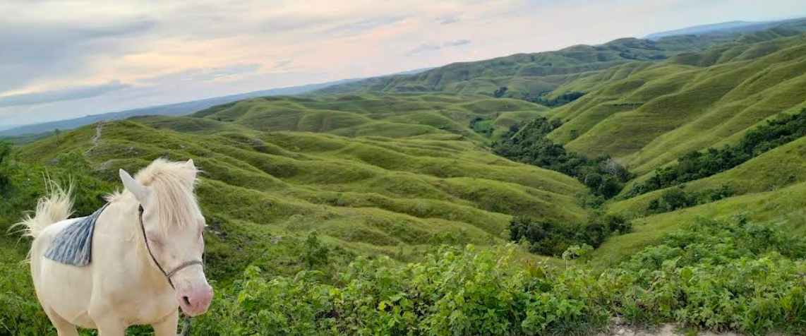 Kabupaten Sumba Barat